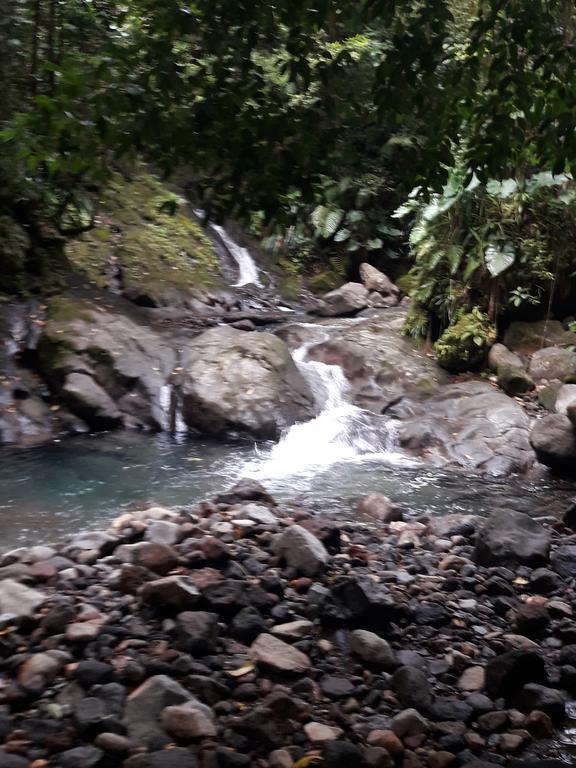 Les Gites Kajou Буйант Экстерьер фото